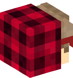 Minecraft head — People