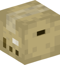 Minecraft head — Decor