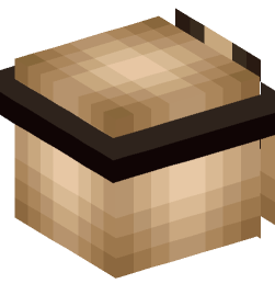 Minecraft head — People