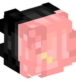 Minecraft head — People