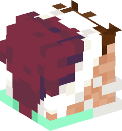 Minecraft head — People