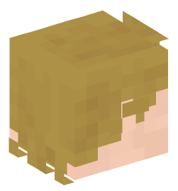 Minecraft head — People