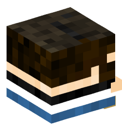 Minecraft head — Decor