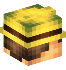 Minecraft head — People