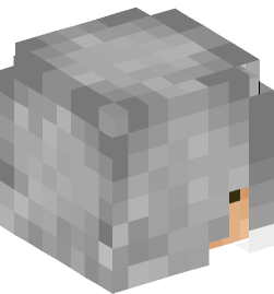 Minecraft head — People