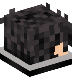 Minecraft head — People