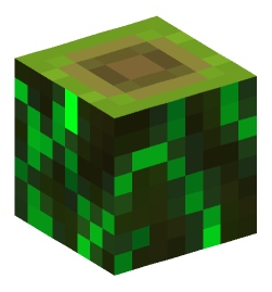 Minecraft head — Blocks