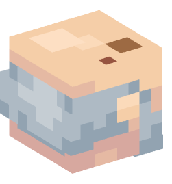 Minecraft head — People