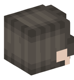 Minecraft head — People