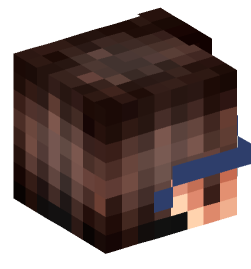 Minecraft head — People