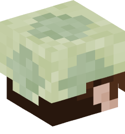 Minecraft head — People