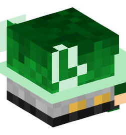 Minecraft head — Decor