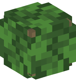 Minecraft head — Creatures