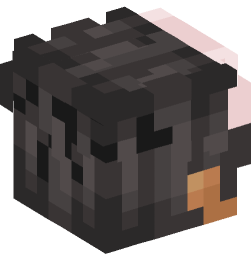 Minecraft head — People