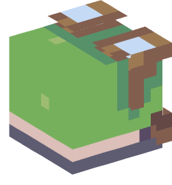 Minecraft head — Decor