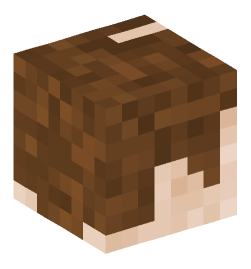 Minecraft head — People