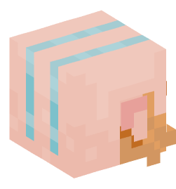 Minecraft head — People