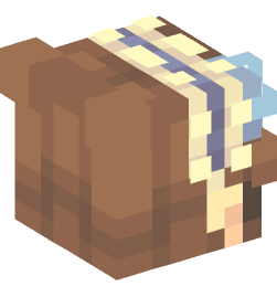 Minecraft head — People