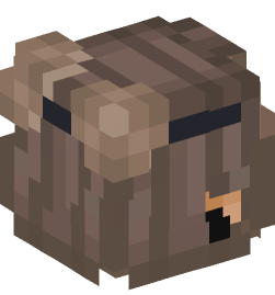 Minecraft head — People