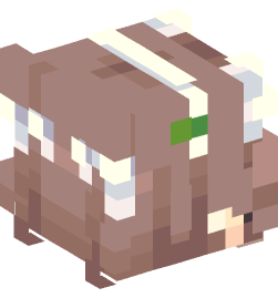 Minecraft head — People