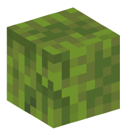 Minecraft head — Blocks