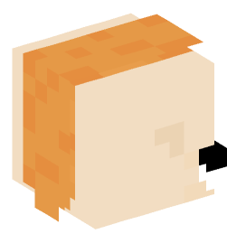 Minecraft head — Decor