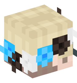 Minecraft head — People