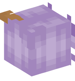 Minecraft head — Creatures