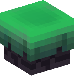 Minecraft head — Blocks