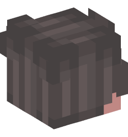 Minecraft head — People