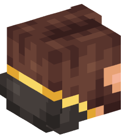 Minecraft head — People