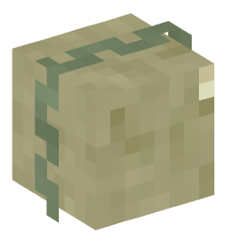 Minecraft head — Monsters