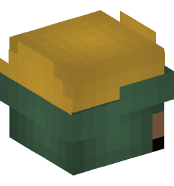 Minecraft head — People