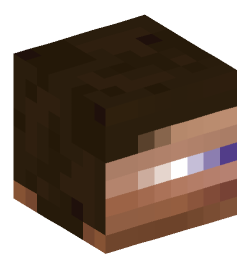 Minecraft head — People