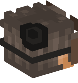 Minecraft head — People