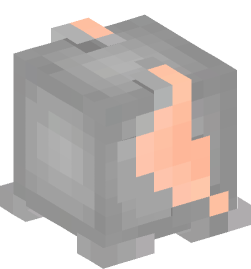 Minecraft head — Decor