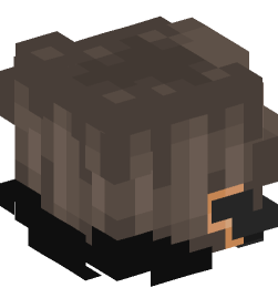 Minecraft head — People