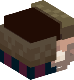 Minecraft head — People