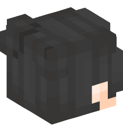 Minecraft head — People