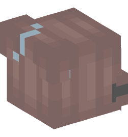 Minecraft head — People