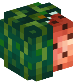 Minecraft head — Plants