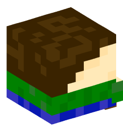 Minecraft head — Decor