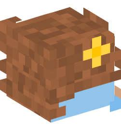 Minecraft head — People