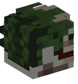 Minecraft head — People