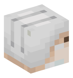 Minecraft head — Creatures