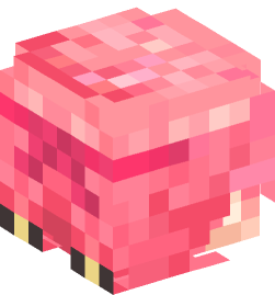 Minecraft head — People