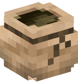 Minecraft head — Decor