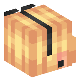 Minecraft head — People