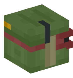 Minecraft head — People