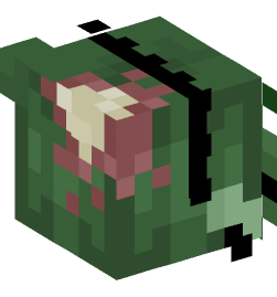 Minecraft head — Creatures